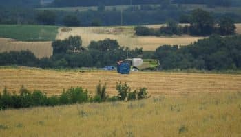 , Tarn: Grosse frayeur pour un pilote d&rsquo;ULM, contraint à un atterrissage forcé dans un champ