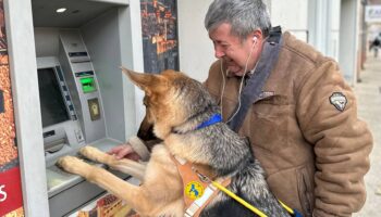 , Les chiens guides d’aveugles de Paca et de Corse remettent 20 chiens