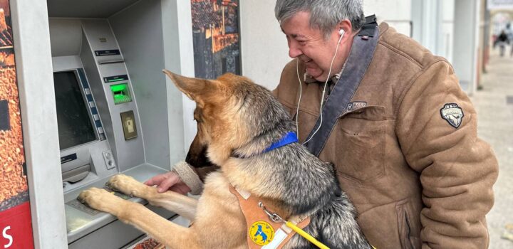 , Les chiens guides d’aveugles de Paca et de Corse remettent 20 chiens