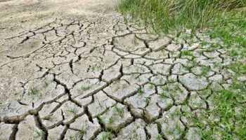 , Les pluies intenses ont-elles mis fin à la sécheresse dans le sud
